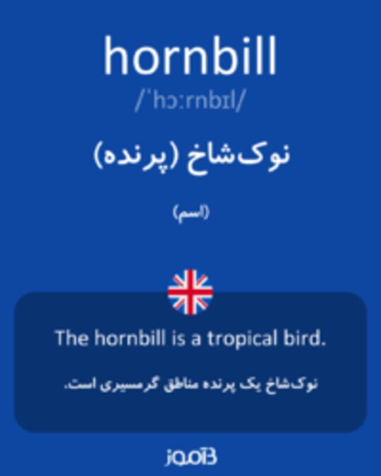  تصویر hornbill - دیکشنری انگلیسی بیاموز