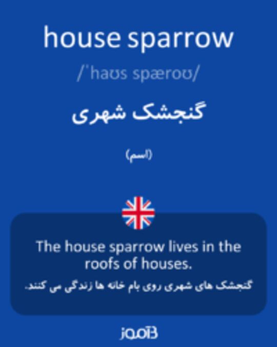  تصویر house sparrow - دیکشنری انگلیسی بیاموز