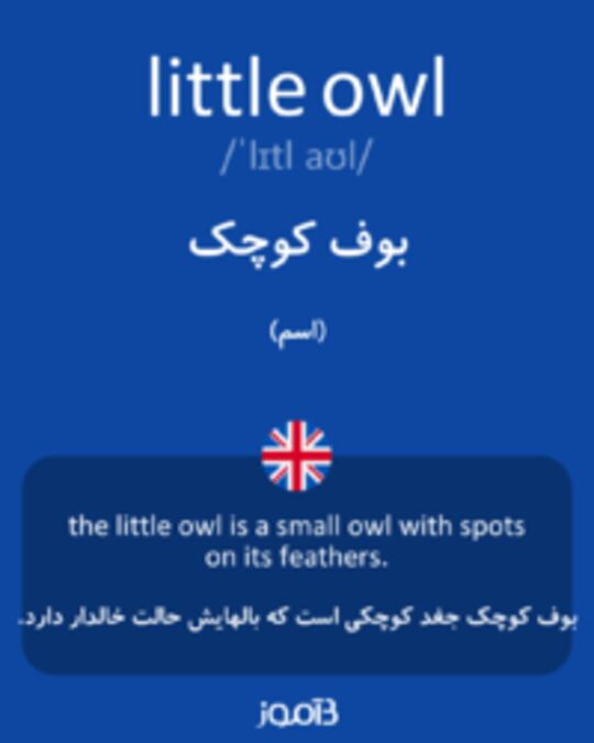  تصویر little owl - دیکشنری انگلیسی بیاموز