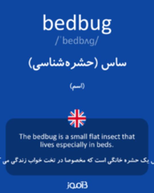  تصویر bedbug - دیکشنری انگلیسی بیاموز