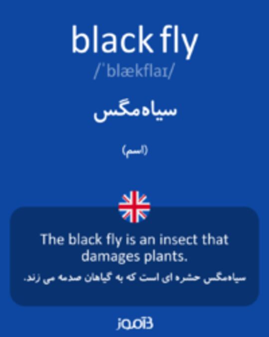  تصویر black fly - دیکشنری انگلیسی بیاموز
