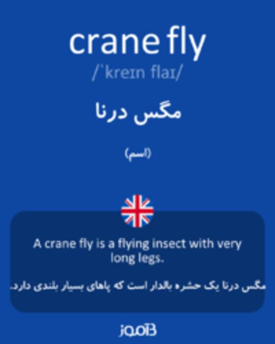  تصویر crane fly - دیکشنری انگلیسی بیاموز