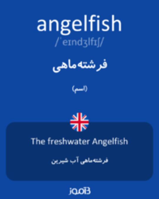  تصویر angelfish - دیکشنری انگلیسی بیاموز