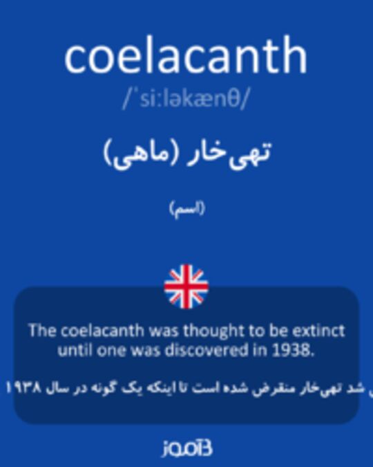  تصویر coelacanth - دیکشنری انگلیسی بیاموز