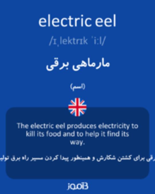  تصویر electric eel - دیکشنری انگلیسی بیاموز
