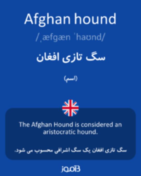  تصویر Afghan hound - دیکشنری انگلیسی بیاموز