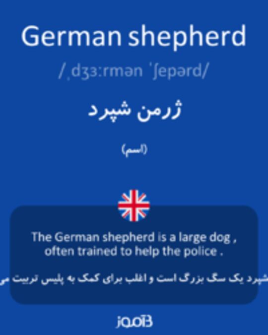  تصویر German shepherd - دیکشنری انگلیسی بیاموز