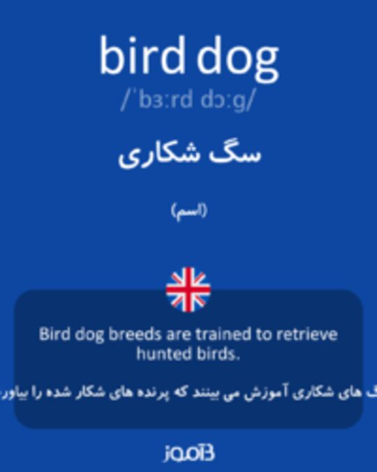  تصویر bird dog - دیکشنری انگلیسی بیاموز