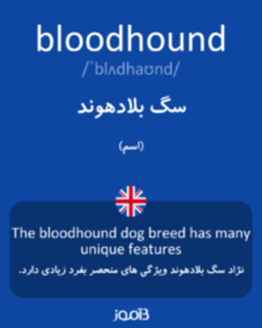  تصویر bloodhound - دیکشنری انگلیسی بیاموز