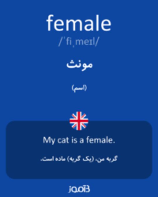  تصویر female - دیکشنری انگلیسی بیاموز