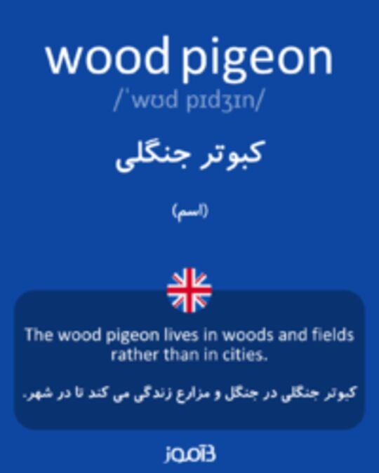  تصویر wood pigeon - دیکشنری انگلیسی بیاموز