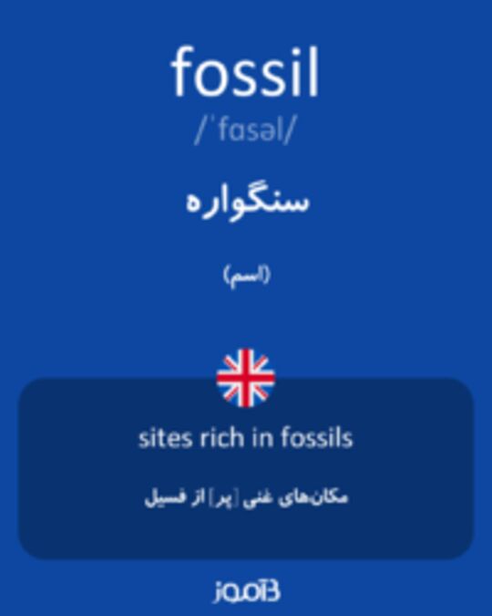 تصویر fossil - دیکشنری انگلیسی بیاموز