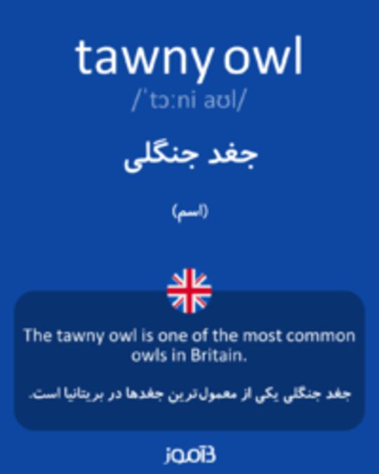  تصویر tawny owl - دیکشنری انگلیسی بیاموز