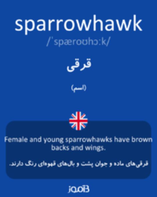  تصویر sparrowhawk - دیکشنری انگلیسی بیاموز