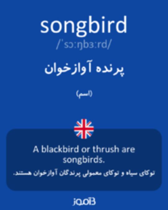  تصویر songbird - دیکشنری انگلیسی بیاموز