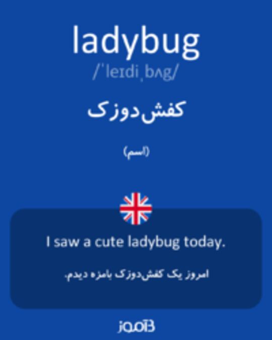  تصویر ladybug - دیکشنری انگلیسی بیاموز