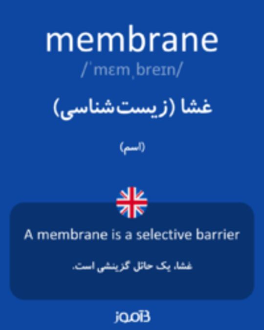  تصویر membrane - دیکشنری انگلیسی بیاموز