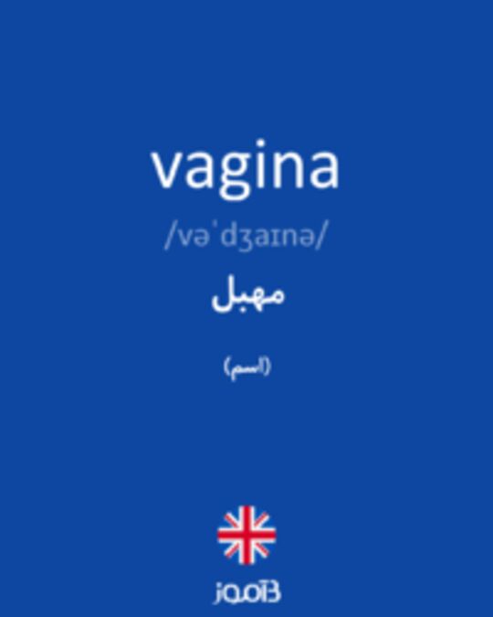  تصویر vagina - دیکشنری انگلیسی بیاموز