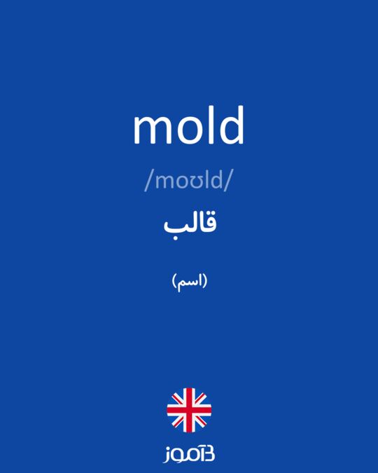 mold