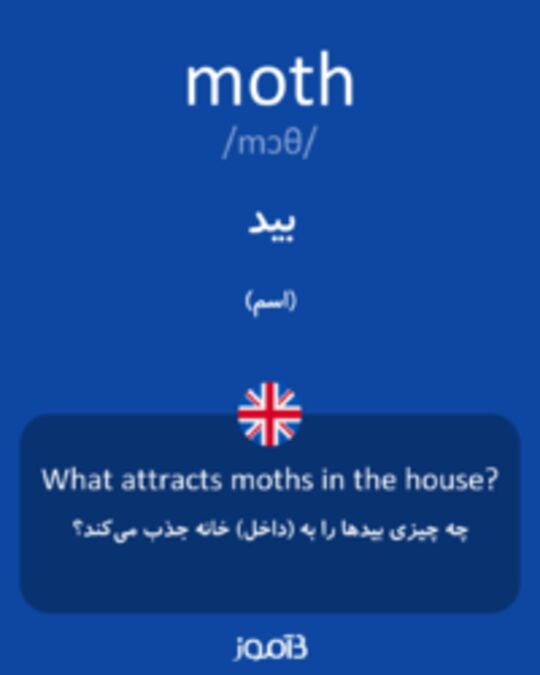  تصویر moth - دیکشنری انگلیسی بیاموز