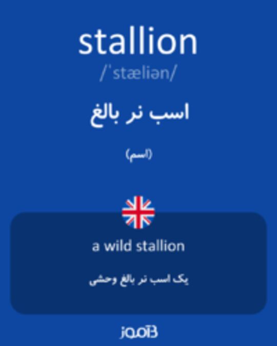  تصویر stallion - دیکشنری انگلیسی بیاموز