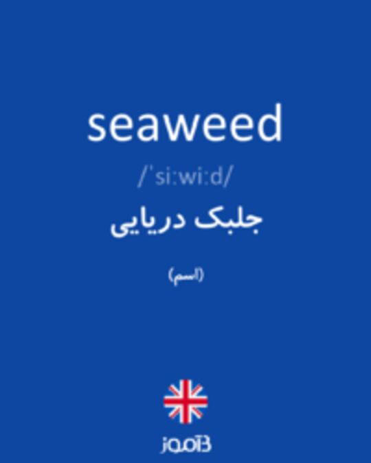  تصویر seaweed - دیکشنری انگلیسی بیاموز