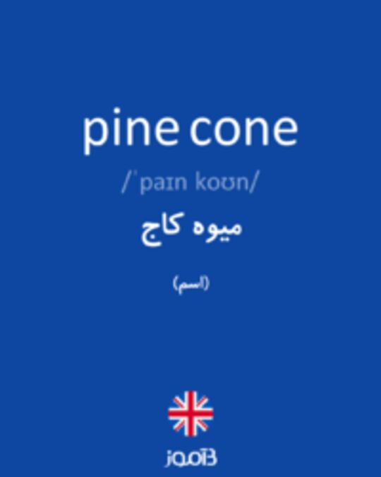  تصویر pine cone - دیکشنری انگلیسی بیاموز