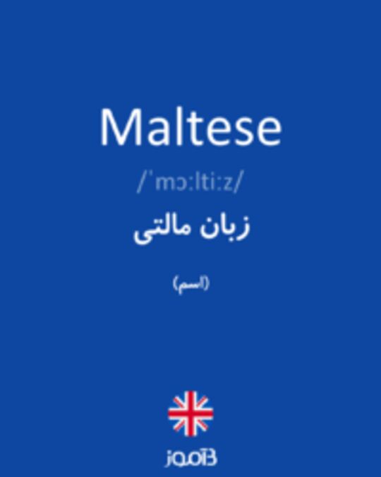  تصویر Maltese - دیکشنری انگلیسی بیاموز