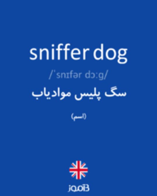  تصویر sniffer dog - دیکشنری انگلیسی بیاموز