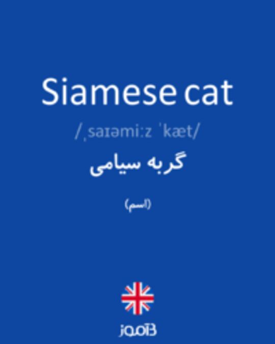  تصویر Siamese cat - دیکشنری انگلیسی بیاموز