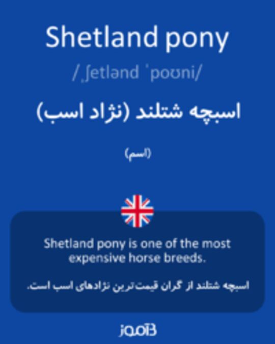  تصویر Shetland pony - دیکشنری انگلیسی بیاموز