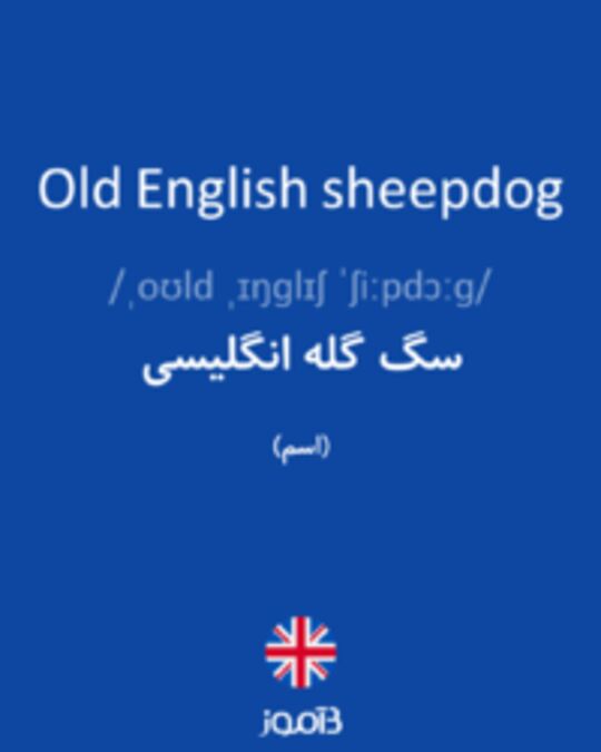  تصویر Old English sheepdog - دیکشنری انگلیسی بیاموز