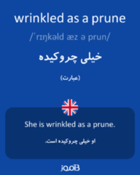  تصویر wrinkled as a prune - دیکشنری انگلیسی بیاموز