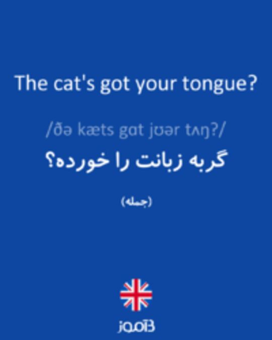  تصویر The cat's got your tongue? - دیکشنری انگلیسی بیاموز