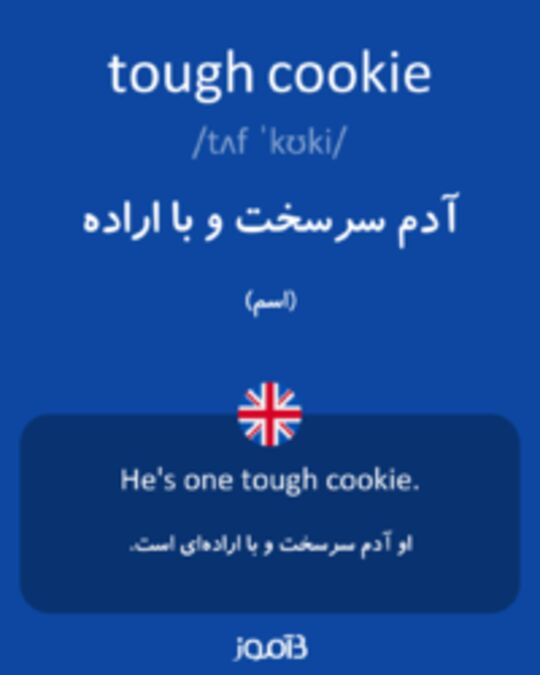  تصویر tough cookie - دیکشنری انگلیسی بیاموز