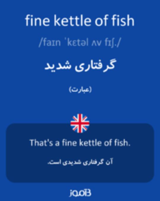  تصویر fine kettle of fish - دیکشنری انگلیسی بیاموز