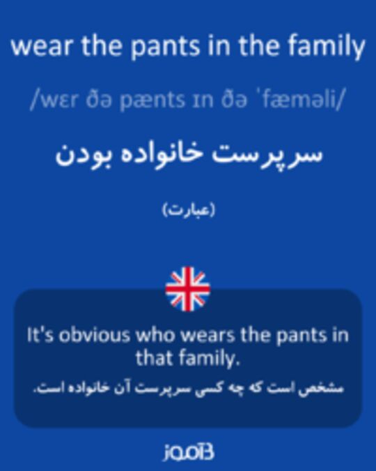  تصویر wear the pants in the family - دیکشنری انگلیسی بیاموز