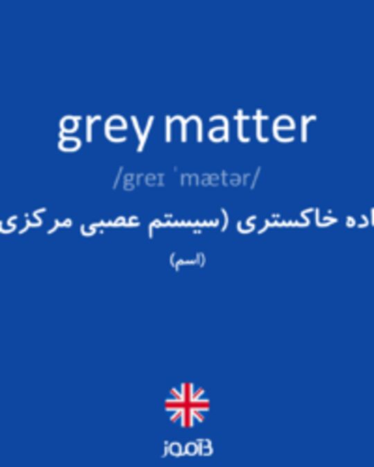  تصویر grey matter - دیکشنری انگلیسی بیاموز