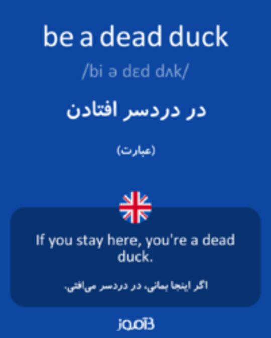  تصویر be a dead duck - دیکشنری انگلیسی بیاموز