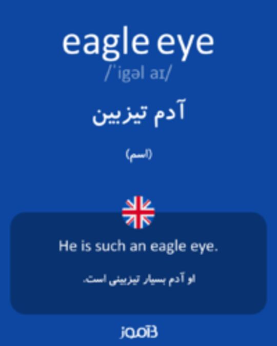  تصویر eagle eye - دیکشنری انگلیسی بیاموز