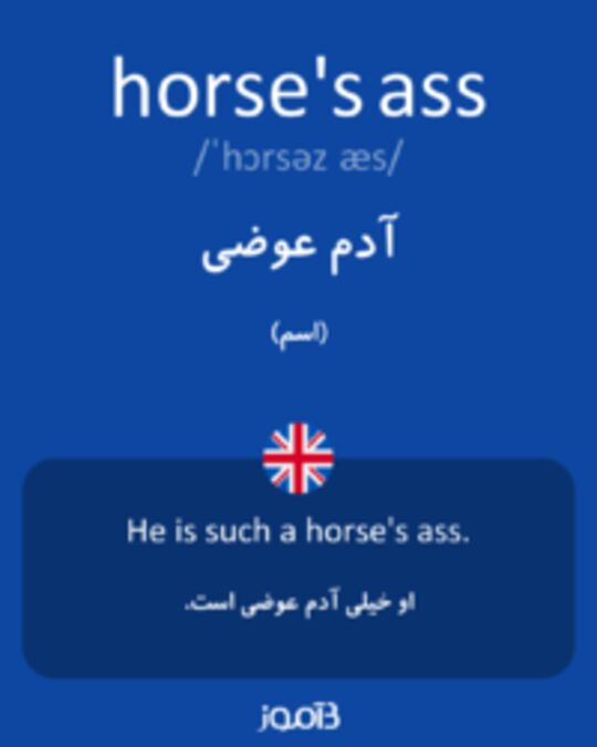  تصویر horse's ass - دیکشنری انگلیسی بیاموز