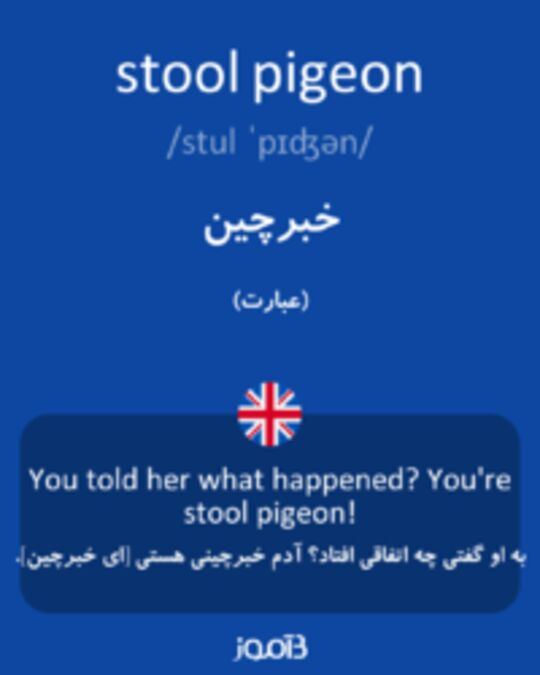  تصویر stool pigeon - دیکشنری انگلیسی بیاموز