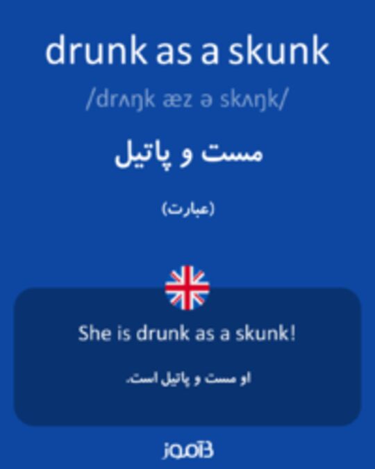  تصویر drunk as a skunk - دیکشنری انگلیسی بیاموز