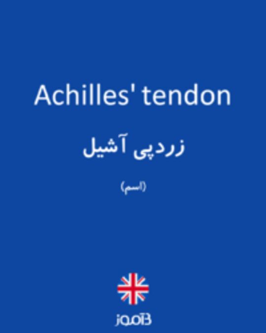  تصویر Achilles' tendon - دیکشنری انگلیسی بیاموز