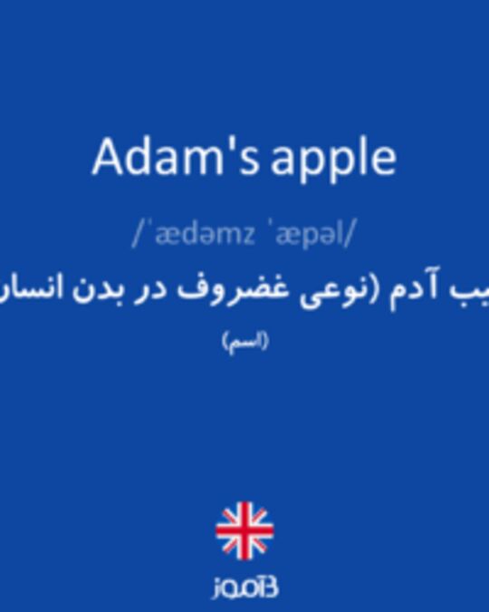  تصویر Adam's apple - دیکشنری انگلیسی بیاموز