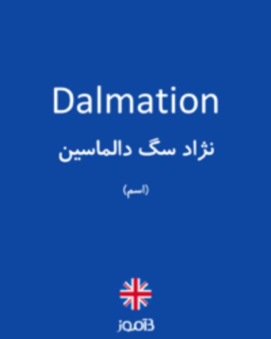  تصویر Dalmation - دیکشنری انگلیسی بیاموز