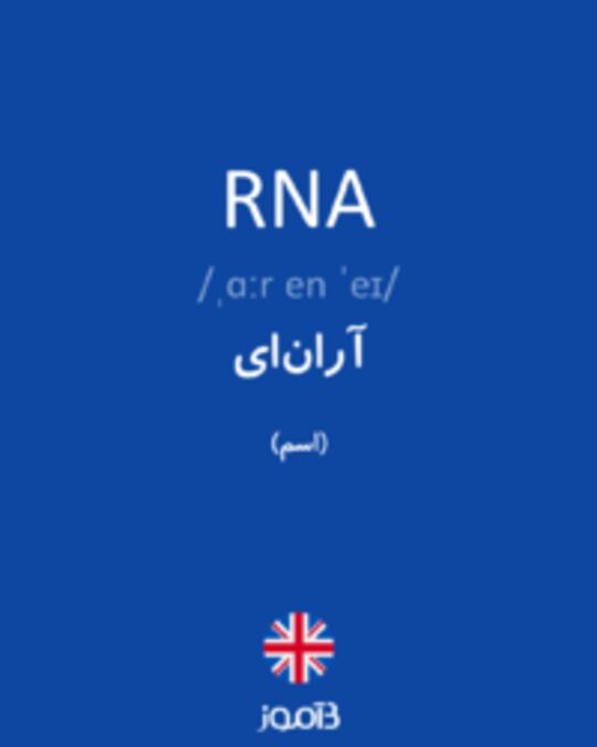  تصویر RNA - دیکشنری انگلیسی بیاموز