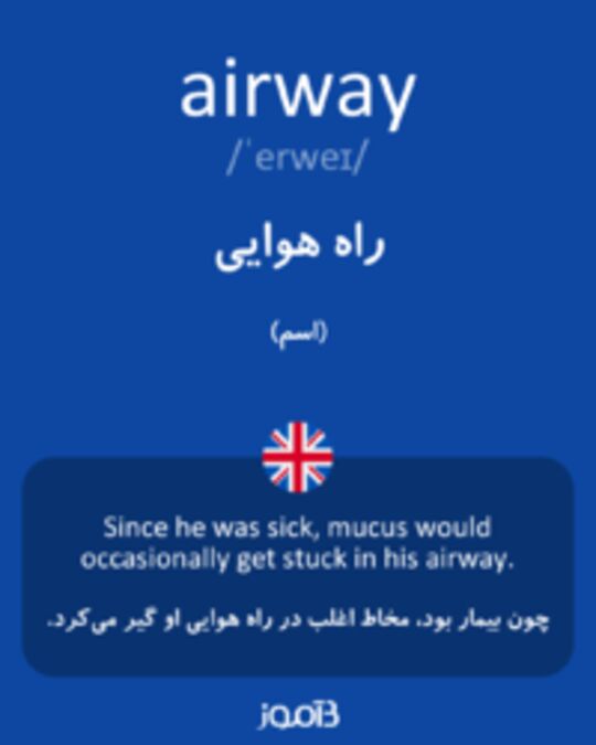  تصویر airway - دیکشنری انگلیسی بیاموز
