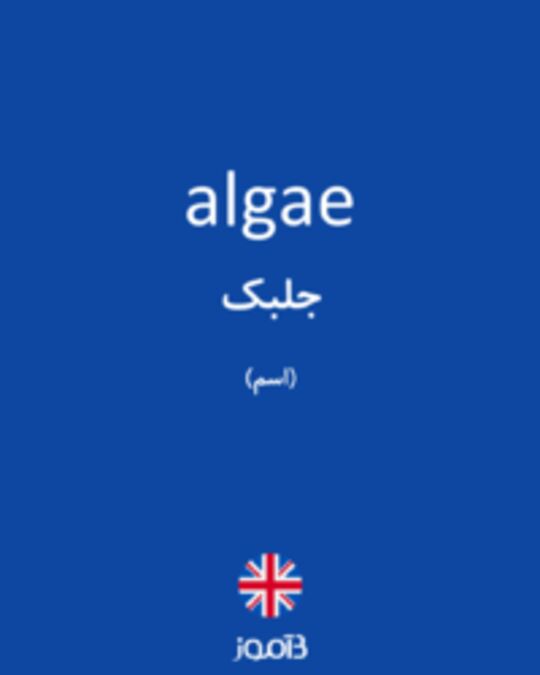  تصویر algae - دیکشنری انگلیسی بیاموز