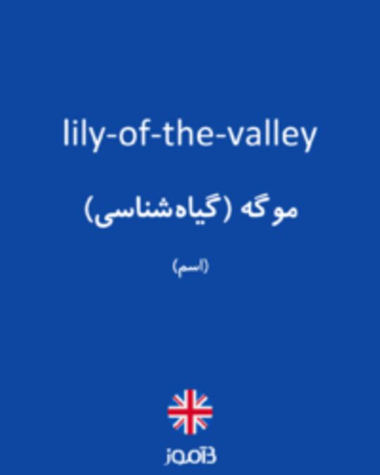  تصویر lily-of-the-valley - دیکشنری انگلیسی بیاموز